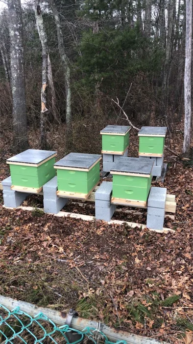 Honeybee hives at Channell Homestead